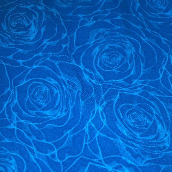LuLaRoe Cassie skirt blue with rose patterns - Picture 3 of 6